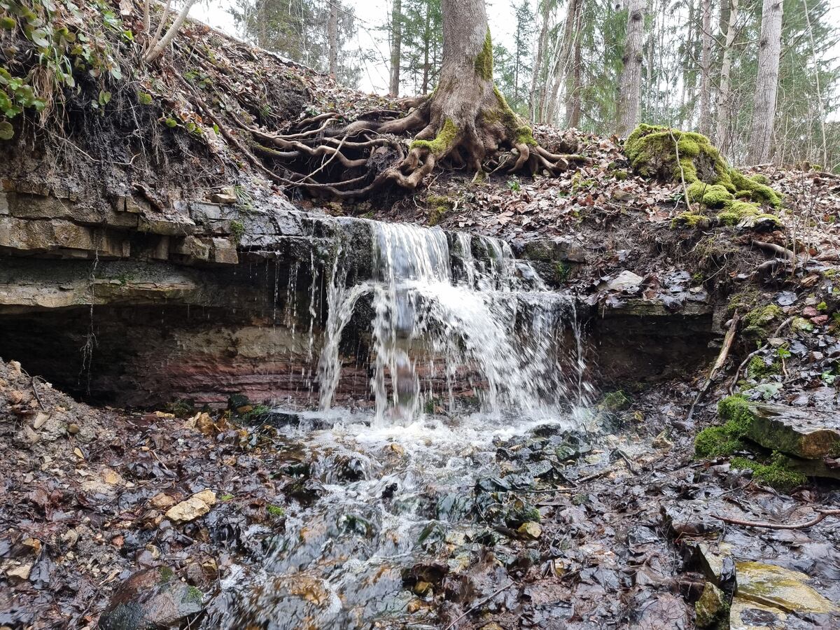 Renda spring waterfall, March 2023