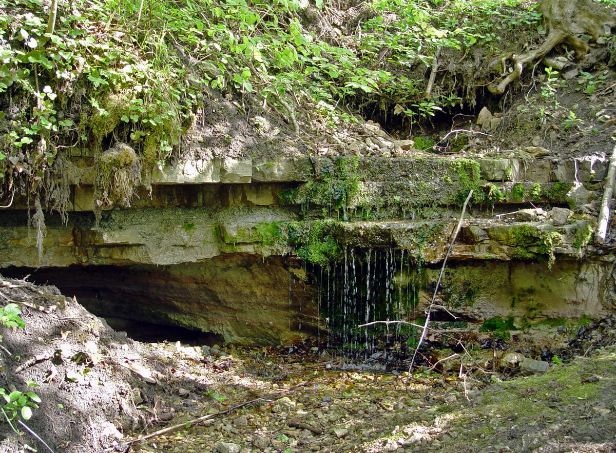 Renda spring waterfall, May 2004