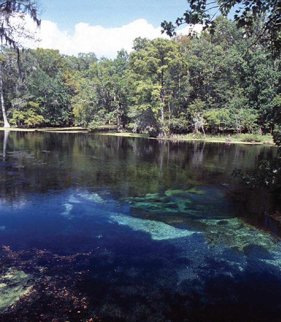 Devils Ear Spring