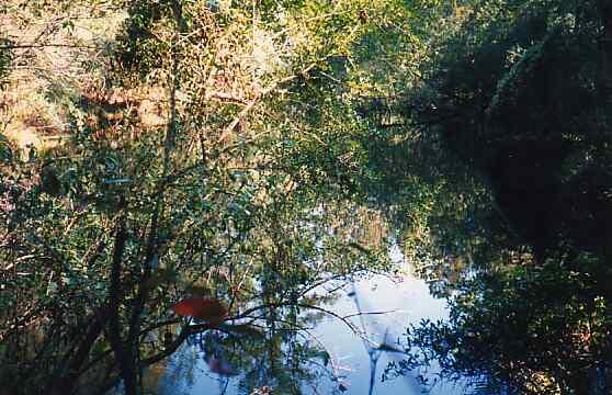 Upper River Spring