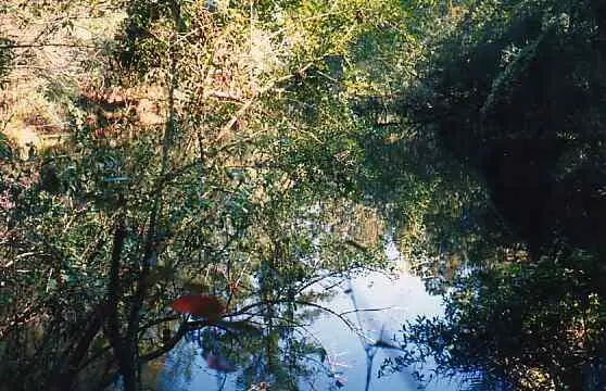 Upper River Spring