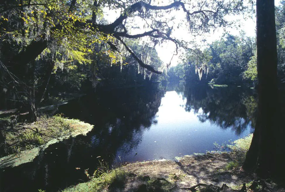 Santa Fe River Rise