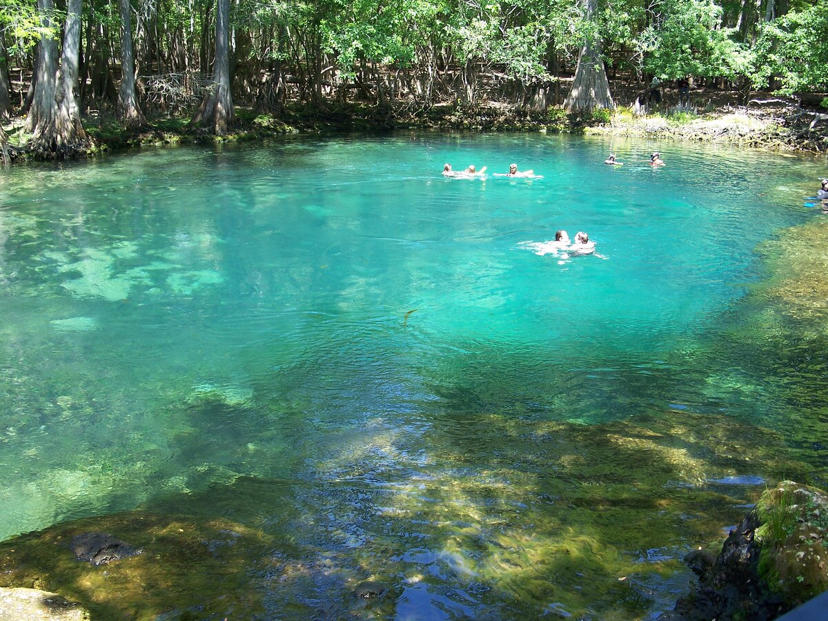 Manatee Spring