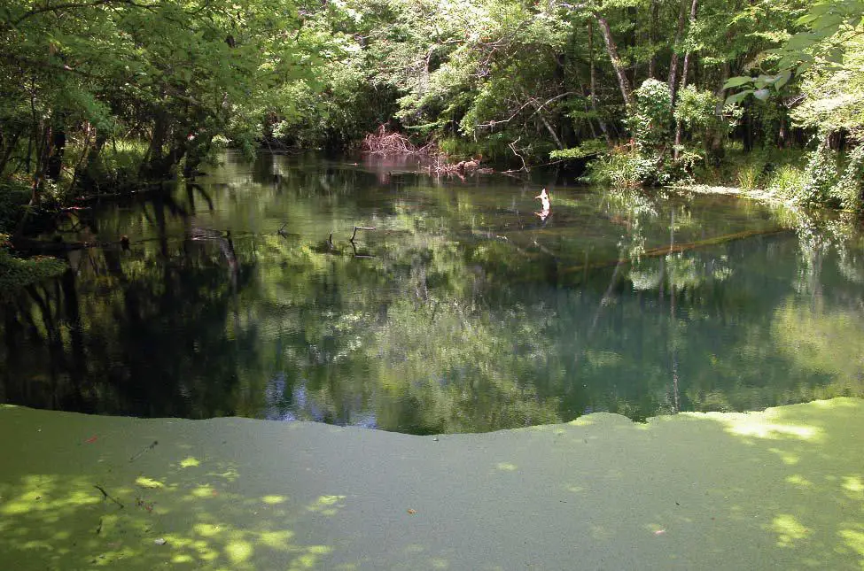 Natural Bridge Spring