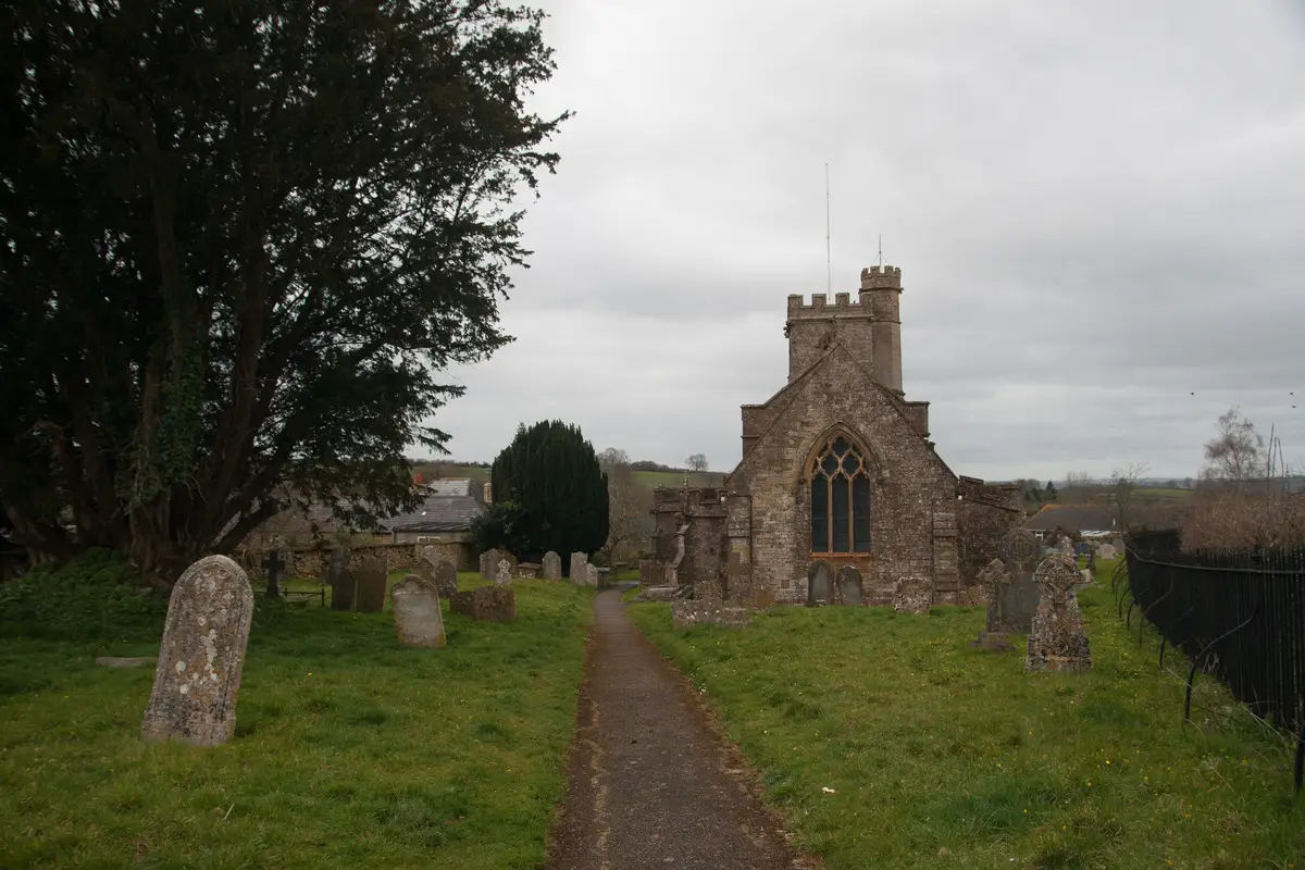 St. John's Church in Broadwindsor. The ancient yew is seen in the left side.