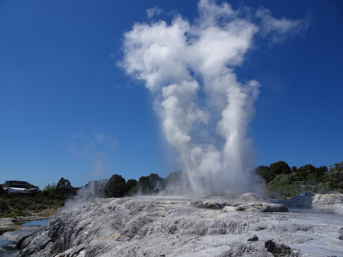 Pohutu Geyser, Whakarewarewa geothermal area