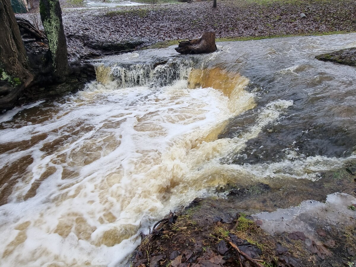 Lielvardes Rumbina waterfall at a higher water level, February 2024