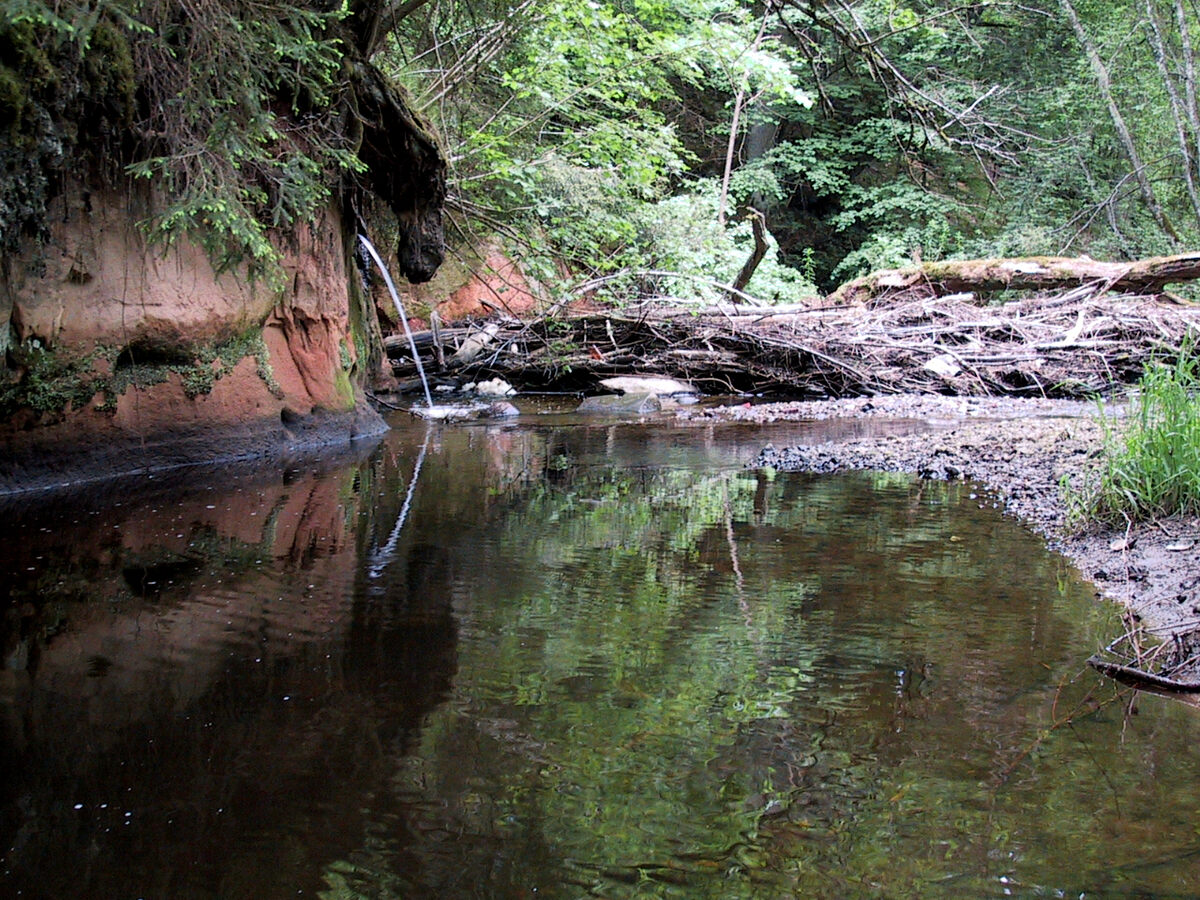 Waterfall on the left tributary of Loja River, May 2002