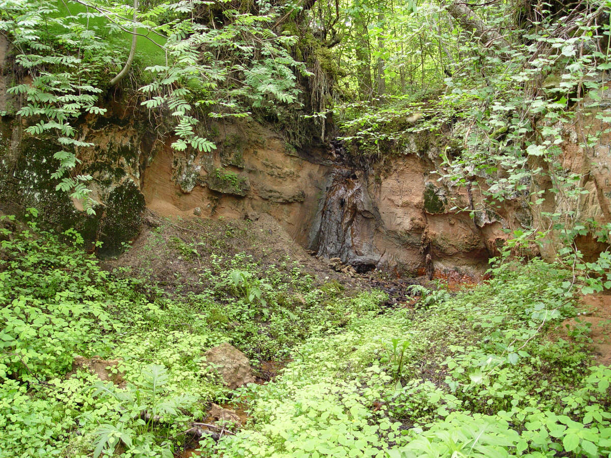 Mazrendas Waterfall, June 2003