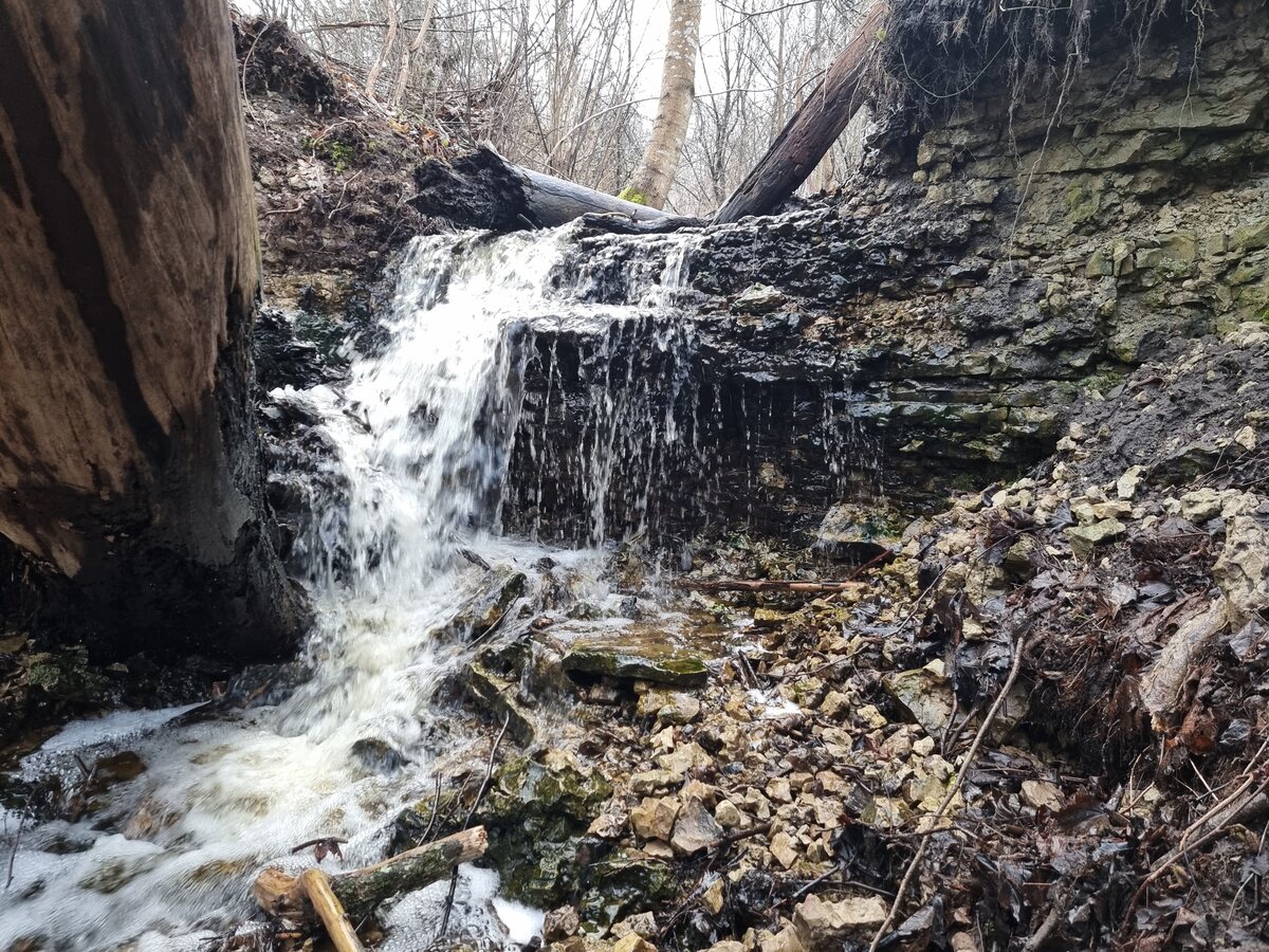 Upper Zarvalka Waterfall, March 2024