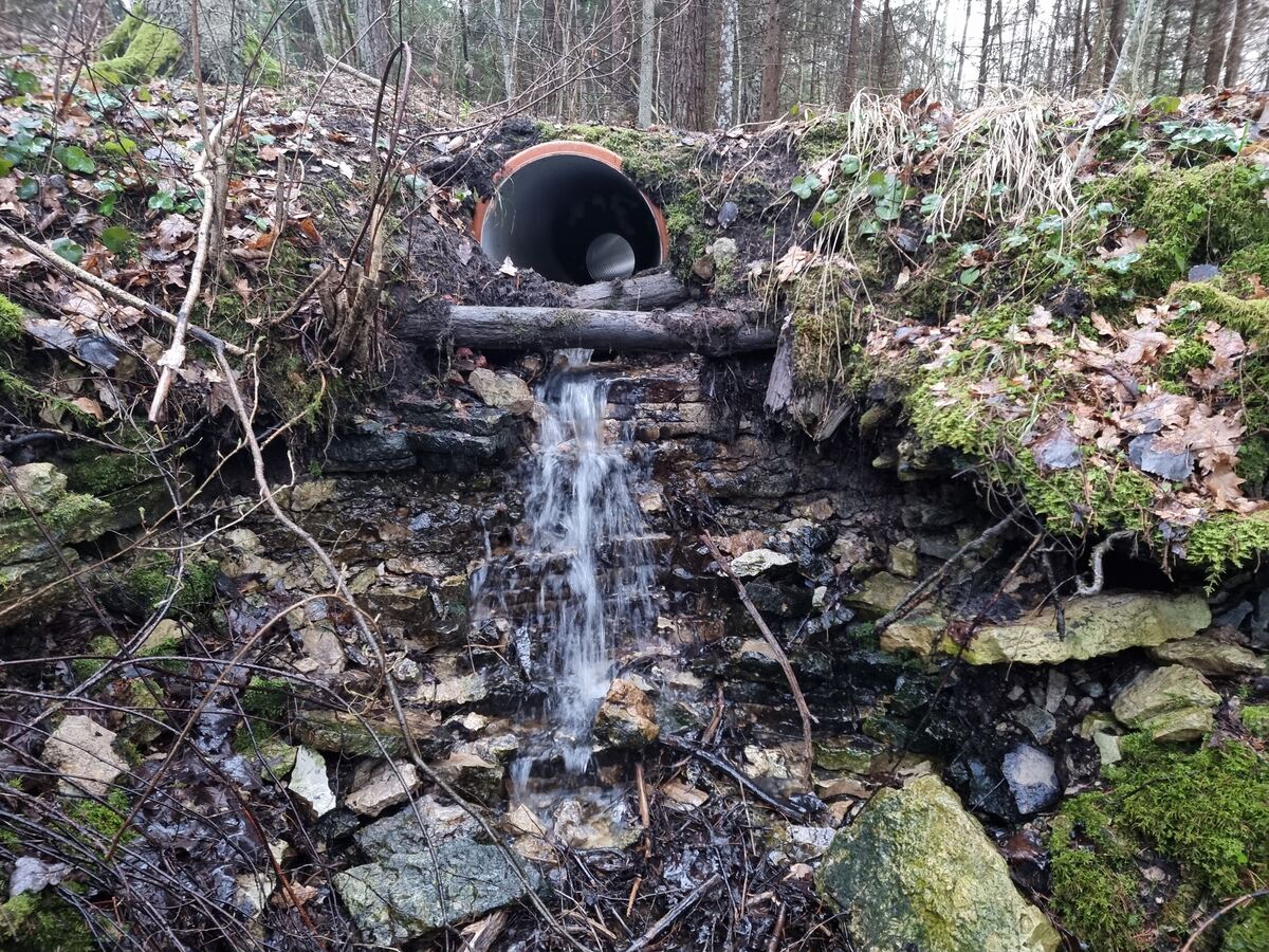 Roadside Zarvalka Waterfall, March 2024