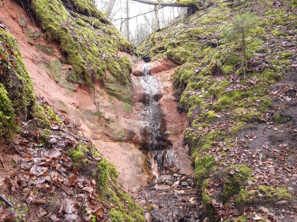 Ziedleju Waterfall, March 2024